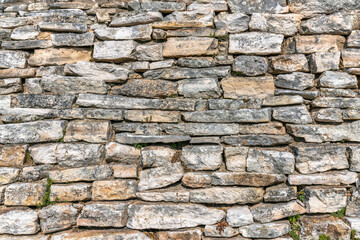 Old brick wall with small green plants growing in between the irregular blocks