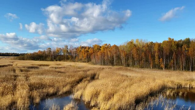 Autumn Lake Kanieris valley landscape. Located in the Kemeri National Park west of the city of Jurmala, Latvia. Europe