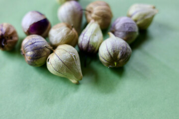 Purple tomatillos on green background