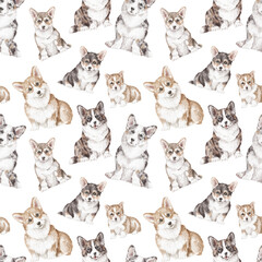 Obraz premium Corgi seamless pattern