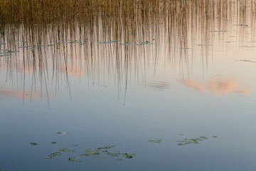 Reflection of the sky and pink clouds  in the lake, water lines on the surface. Wallpaper, background, texture, pattern