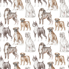 Boxer dog pattern