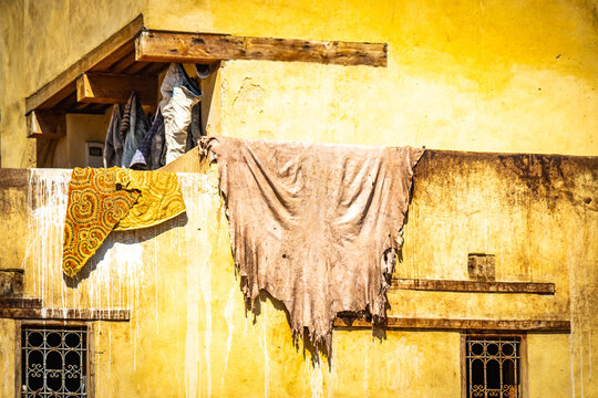 drying in the sun, cow hides, Chouara Tannery, leather, fez el bali, medina, fez, fes, morocco, north africa
