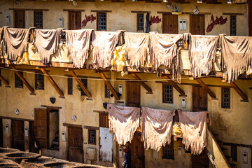 drying in the sun, cow hides, Chouara Tannery, leather, fez el bali, medina, fez, fes, morocco,...