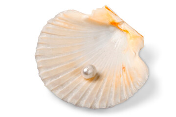 Sea shell with pearl isolated on white background