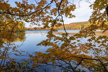 Autumn in Mont-Saint-Bruno National Park, Canada