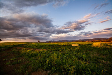 Sunset over the meadow