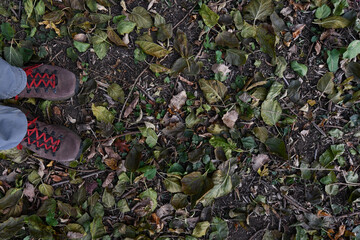 Men's hiking boots on a leaf covered trail in the autumn woodlands of Wisconsin.