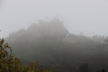 fog on the castle in the forest 