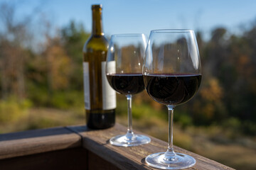 botella de vino tinto y dos copas