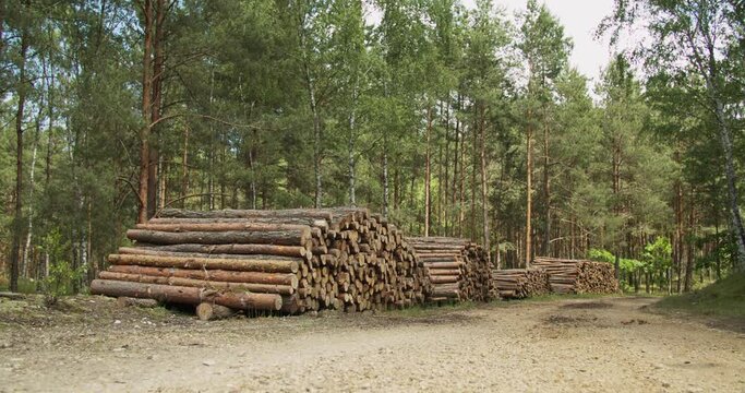 Large timber-cut pie standing in an outdoor wood store in forst.
