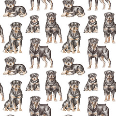 Rottweiler dogs seamless pattern