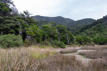 Marlborough Campsites