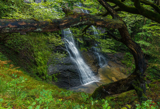 Cascada de Uguna entre troncos