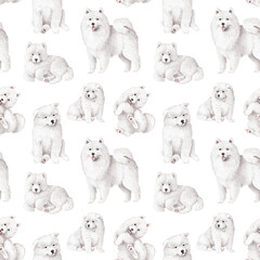 Samoyed dog seamless pattern