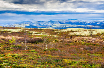 Landscape with sky. Autumn in Rondane. Autumn landscape in Rondane National Park in Norway.