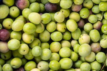 delicious Spanish olives