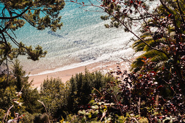 Playa con agua transparente entre varios árboles