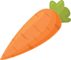 Fresh carrot icon cartoon vector. Vitamin nutrition. Organic natural