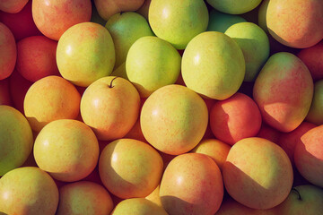 Fruit composition. Sliced oranges, pears, apples lying on top of each other. Image with fruit for creativity and advertising.