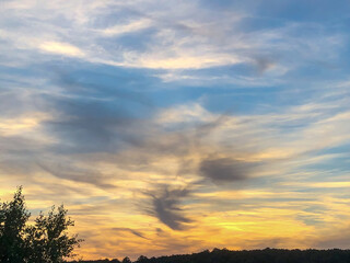 illustration d'un ciel avec des nuages gris et le coucher du soleil et en premier plan des arbres
