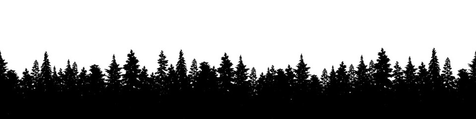 Transparent background illustration of a silhouette panorama of a coniferous forest. Forest background