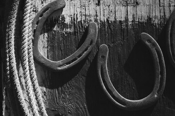 Old horseshoes for western industry on wood background by rope, rustic black and white style.