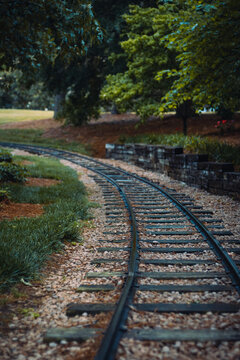 railroad tracks in autumn