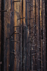 Plank wall with nails. An old, retro place. Halloween atmosphere. Rusty metal