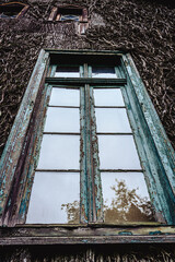 Dry lianas, growing on an old, abandoned house. Halloween. Ivy. Window, sky
