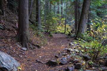 Pulaski Tunnel Trail