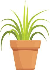 Season plant icon cartoon vector. Summer garden. Window plant