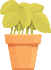 Home plant icon cartoon vector. Summer window. Season stem