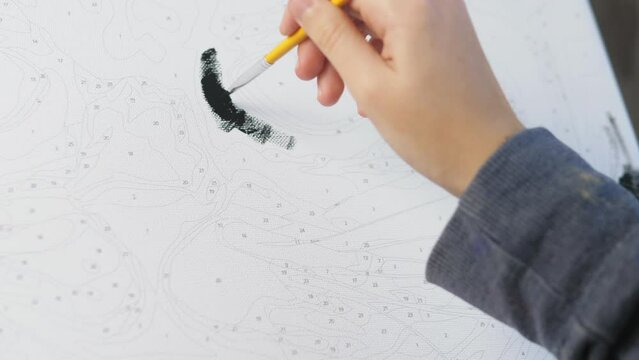 A woman's hand paints a picture by numbers. The girl holds a brush for drawing and draws a picture with black acrylic paints.