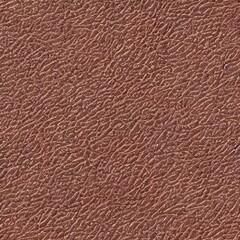 I see a leather texture that is seamless and looks like it would be soft to the touch. The color is a rich brown, and there are no visible imperfections.