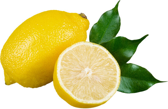 Close-up photo of citrus fruit isolated on white background