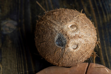 unpeeled mature coconut close up
