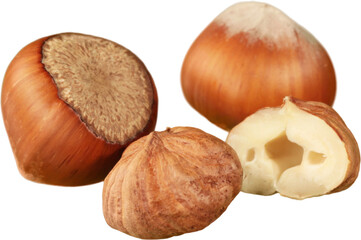 Hazelnuts - Isolated