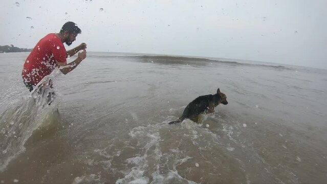 German shepherd dog jumping on the waves on the beach. dog and human friendship. Owner clicking picture of his dog playing on beach in waves