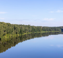 Trees in a mixed forest near the river in the summer season