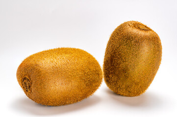 Side view of two fresh ripe delicious hairy kiwi fruit or kiwifruit.