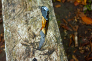 a sharp knife stuck in a tree