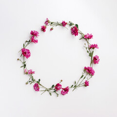 Flower wreath of pink chrysanthemums on white background, flat lay, top view, copy space