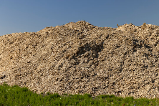 A huge pile of sawdust at a woodworking company