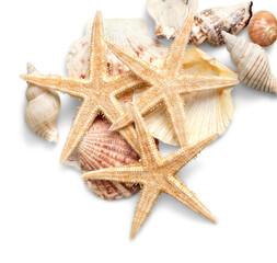 Fototapeta na wymiar Starfishes and shells isolated on a white background