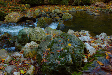 Mountain stone in the forest