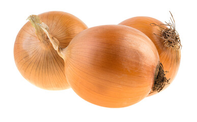 fresh bulbs of onion isolate on white background.
