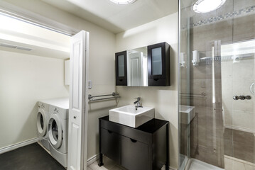Luxury renovated furnished apartment in Montreal with finished basement, backyard, loundry,...