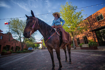 Fort Worth Cowgirl