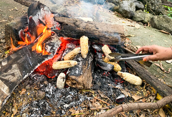 roasted corn on the fire traditionally: